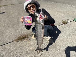え