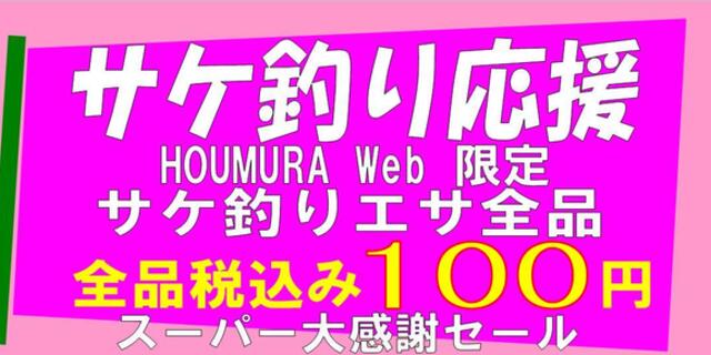 サケ釣り応援 全品100円：イカ