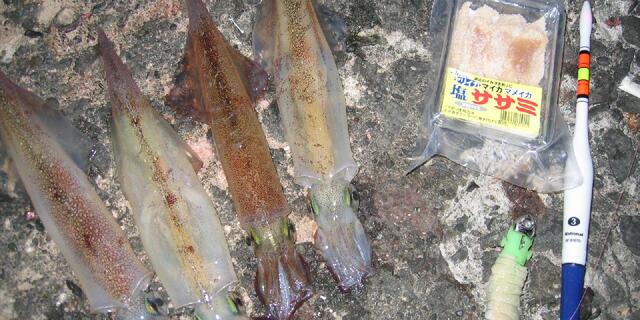 IMG_1112.JPG