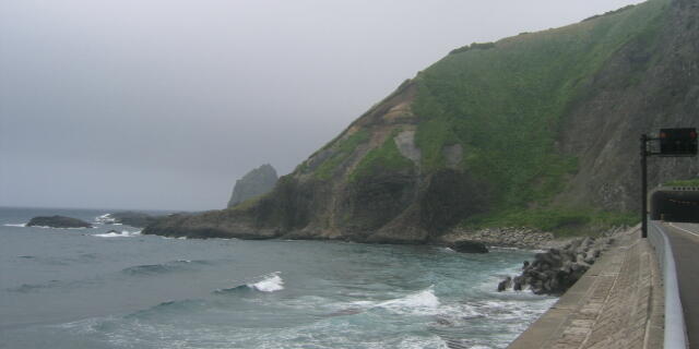 IMG_1233.JPG