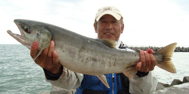 えびさん すみっコぐらし えびふらいのしっぽのおつかい 300ピース【300