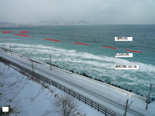 小樽で、ニシンの群来が確認されました。 大物求め釣りに行くっきゃ