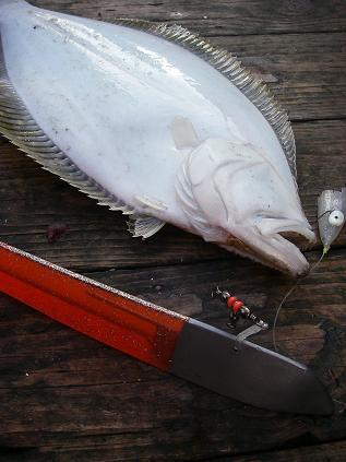 ラメで魚を魅了するスラッシュバケ