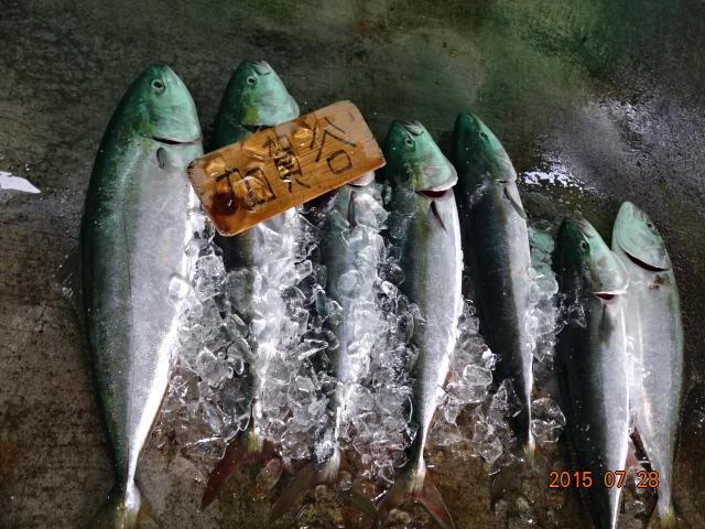 7.28（火） カラフトマス釣り『モジリ発見!!』 | HOUMURA Web