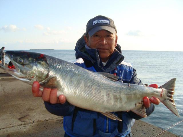 鮭釣り 先日の鮭釣り‼️ #釣具屋ブルーマリンとひりゅうch #鮭 #鮭釣り