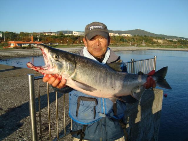 鮭釣り 2024年最新🆕鮭釣りの釣果報告！ エサなしウキルアーで攻略？！
